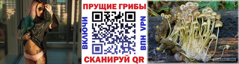 Псилоцибиновые грибы ЛСД  блэк спрут сайт  Кострома 